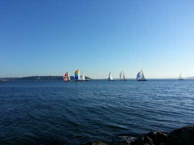 sailboats